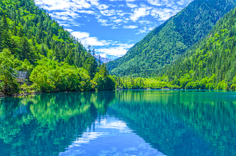 什么是仿站？小白也能学会的建站方法