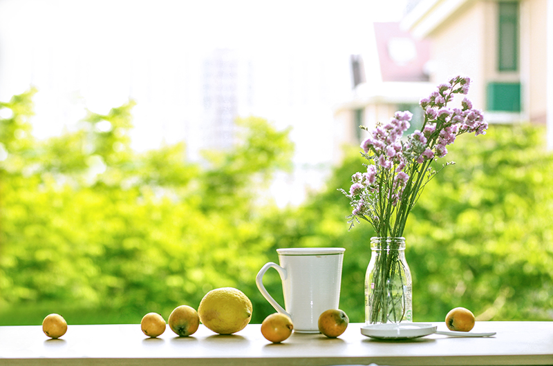 什么是域名？一文读懂网站的“门牌号”