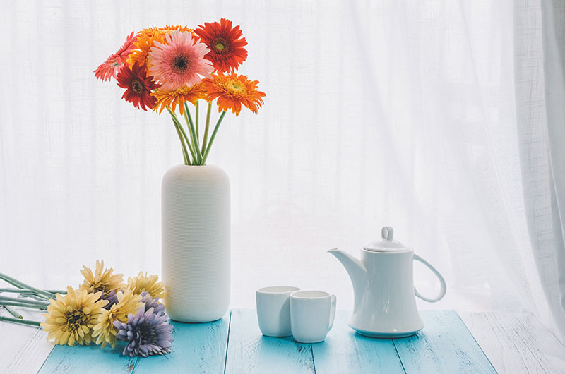 网页是怎么做出来的？一文读懂源代码与编程语言