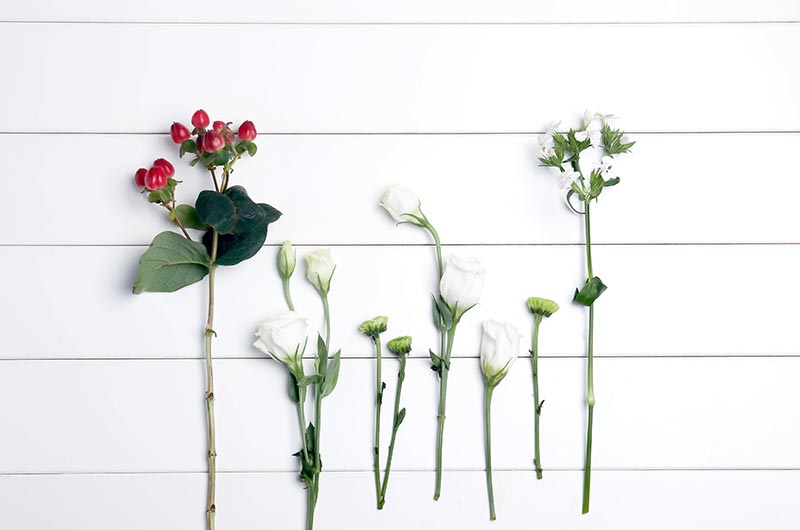 【公众号】赚钱的四个阶段，看看你目前在哪一个阶段？