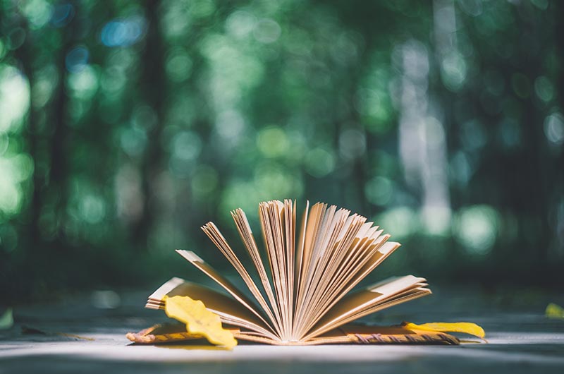 【公众号】成年人的世界，到底有多难？看完李善德，我哭了