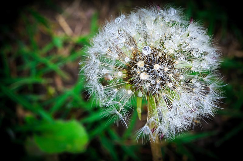 8个自媒体人必看的视频素材网站让你轻松搞定内容创作